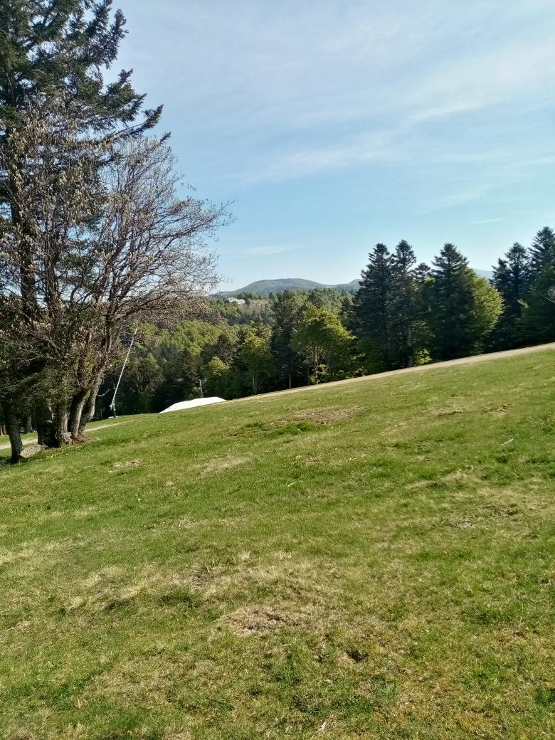 Img 20260429 101715